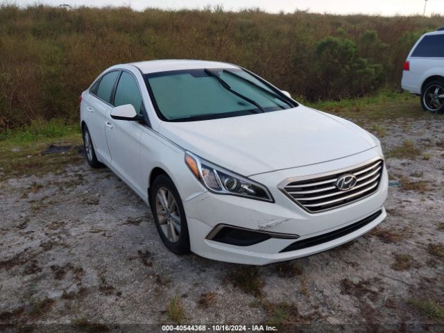 hyundai sonata 2017 5npe24af1hh516571