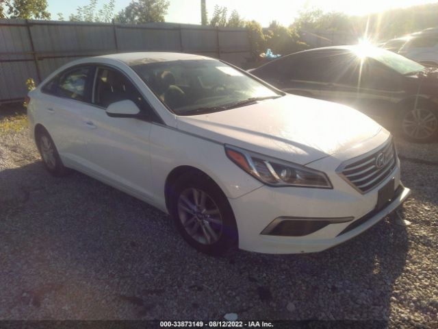 hyundai sonata 2017 5npe24af1hh548890