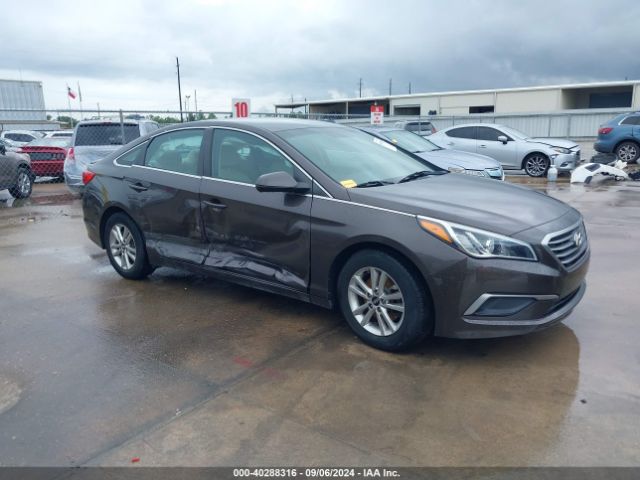 hyundai sonata 2017 5npe24af1hh563566