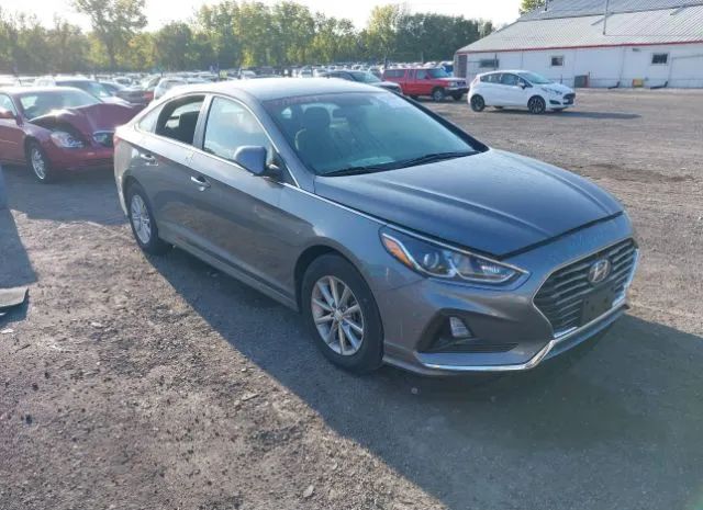 hyundai sonata 2019 5npe24af1kh747753