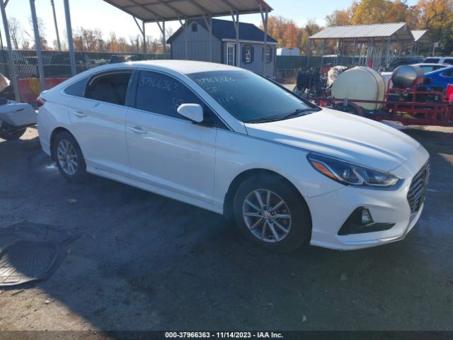 hyundai sonata 2019 5npe24af1kh812536