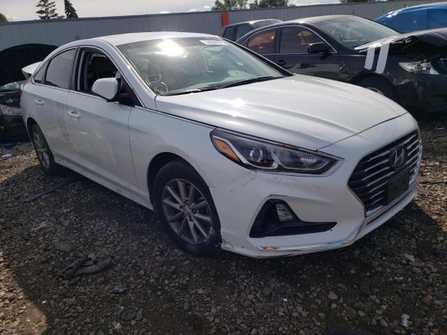 hyundai sonata se 2019 5npe24af1kh818790