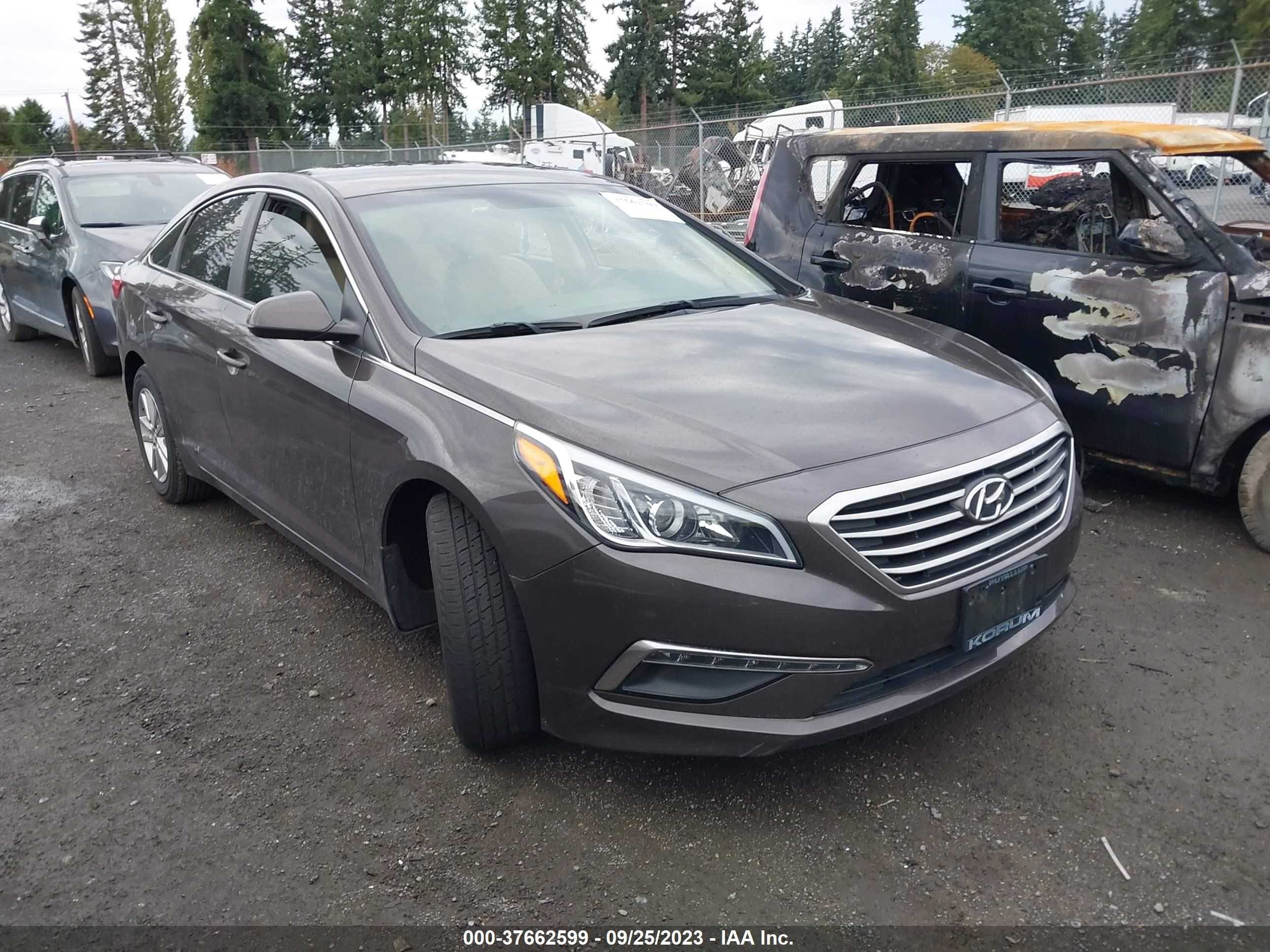 hyundai sonata 2015 5npe24af2fh246134