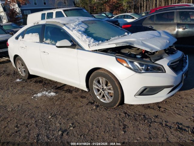 hyundai sonata 2016 5npe24af2gh395242