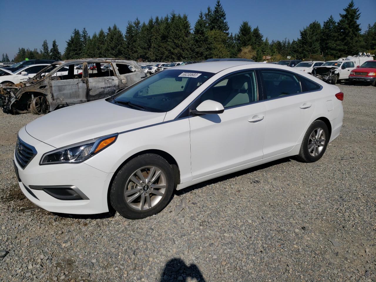 hyundai sonata 2017 5npe24af2hh575337