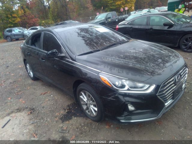 hyundai sonata 2019 5npe24af2kh813761