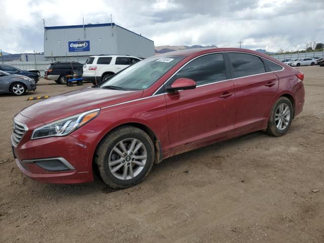 hyundai sonata 2016 5npe24af3gh297126