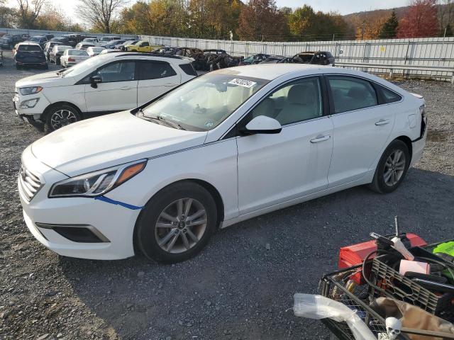 hyundai sonata se 2016 5npe24af3gh354537