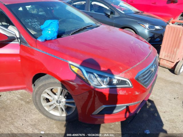 hyundai sonata 2017 5npe24af3hh459516