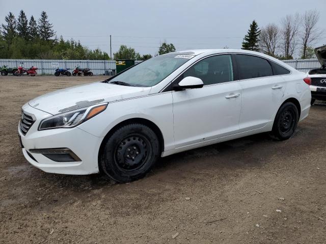 hyundai sonata 2017 5npe24af3hh529810