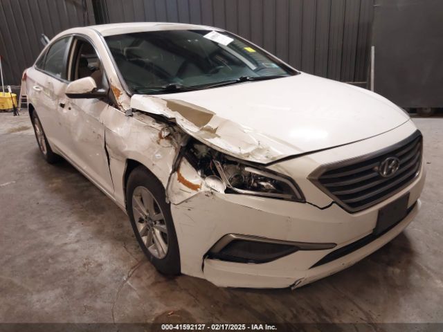 hyundai sonata 2017 5npe24af3hh570468