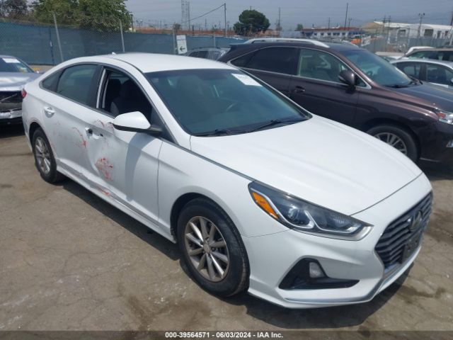 hyundai sonata 2019 5npe24af3kh760021