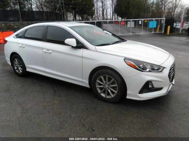 hyundai sonata 2019 5npe24af3kh765087