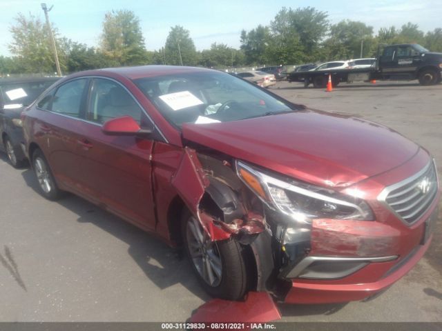 hyundai sonata 2016 5npe24af4gh313673