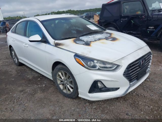 hyundai sonata 2019 5npe24af4kh807511