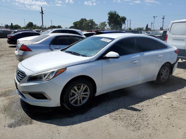 hyundai sonata 2016 5npe24af5gh266430