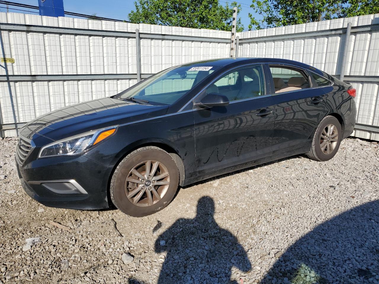 hyundai sonata 2016 5npe24af5gh311883