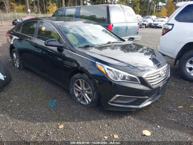 hyundai sonata 2016 5npe24af5gh325007