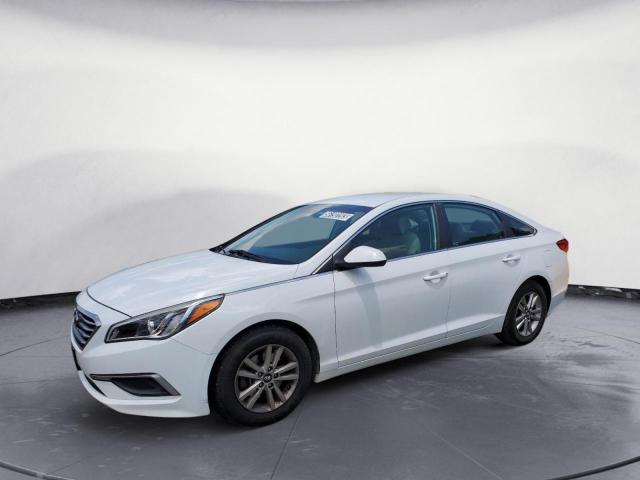 hyundai sonata se 2016 5npe24af5gh349887