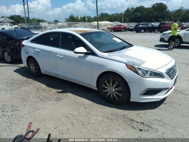 hyundai sonata 2016 5npe24af5gh379083