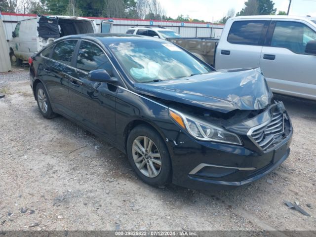 hyundai sonata 2017 5npe24af5hh547130