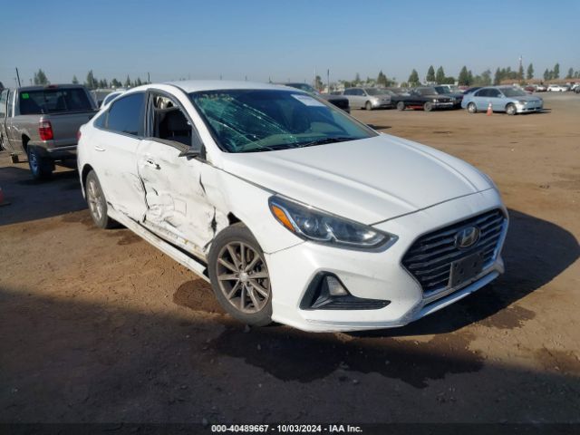 hyundai sonata 2019 5npe24af5kh765219