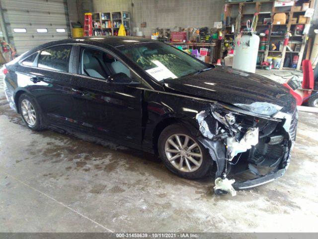 hyundai sonata 2019 5npe24af5kh787852