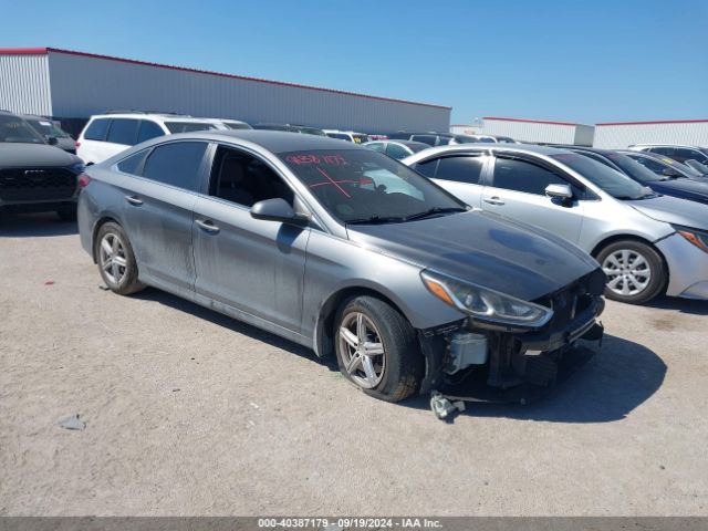 hyundai sonata 2019 5npe24af5kh798768