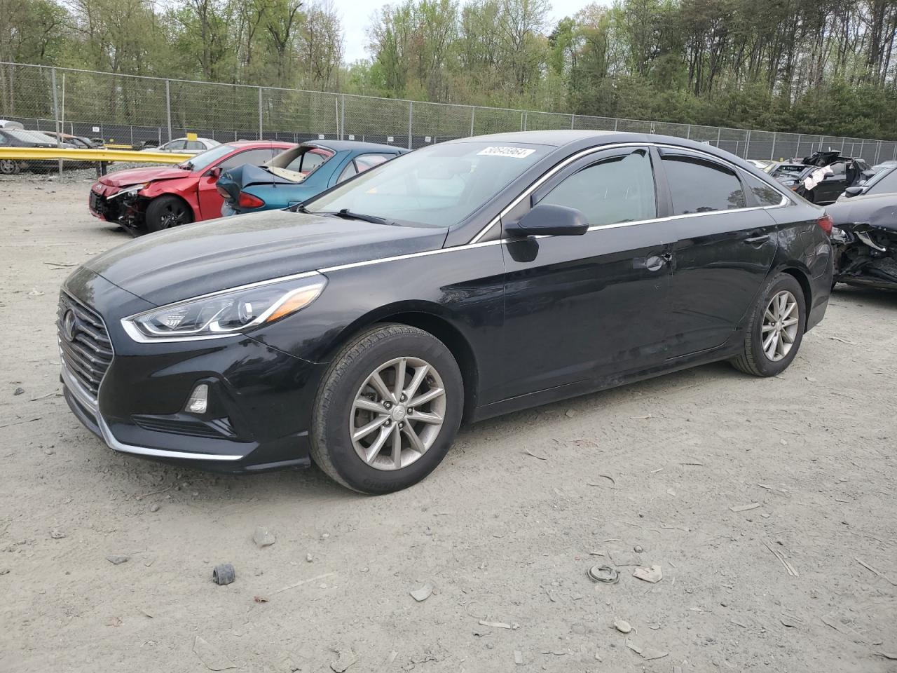 hyundai sonata 2019 5npe24af5kh819232