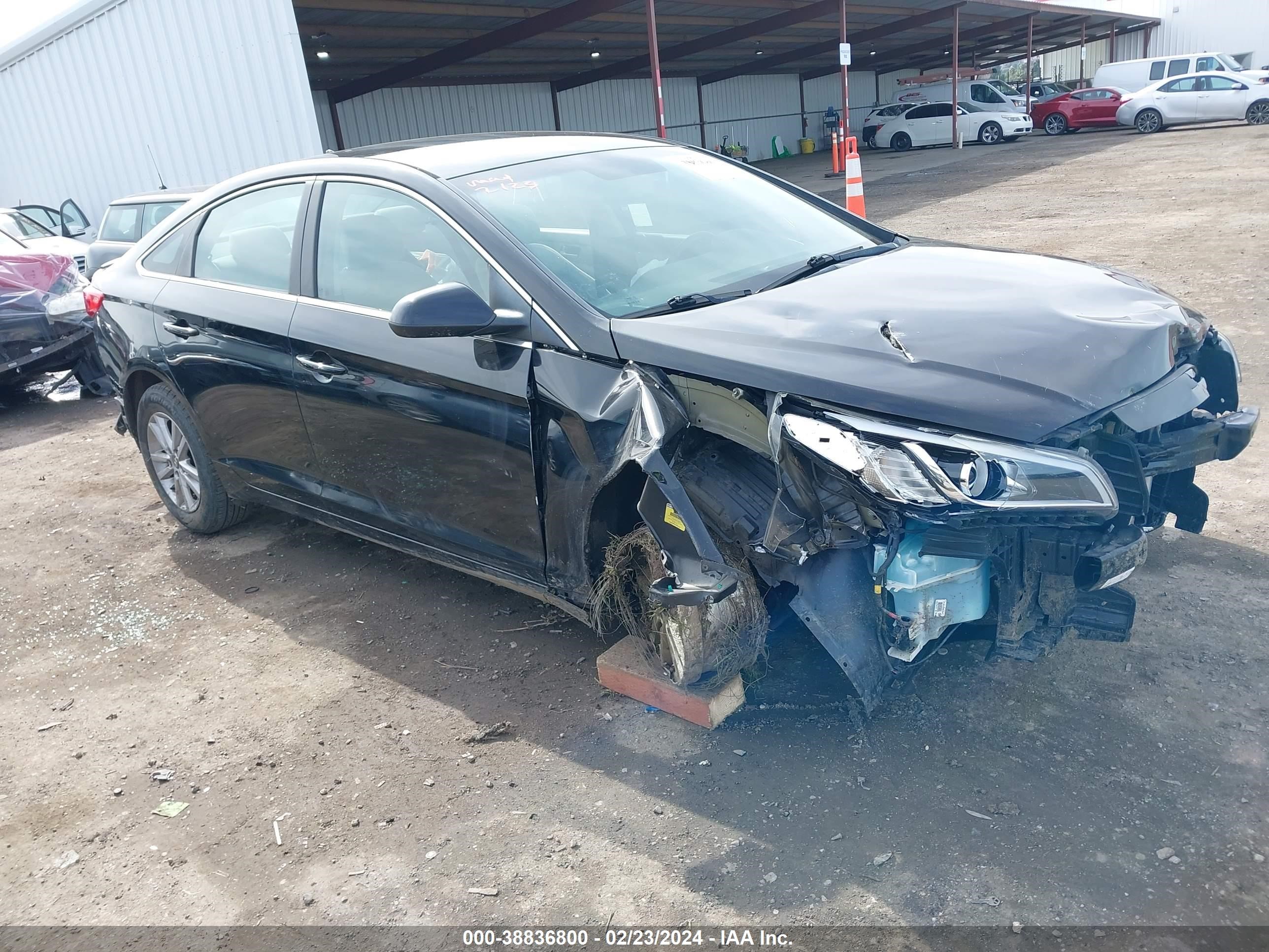 hyundai sonata 2016 5npe24af6gh318020