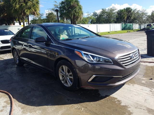 hyundai  2016 5npe24af6gh429036