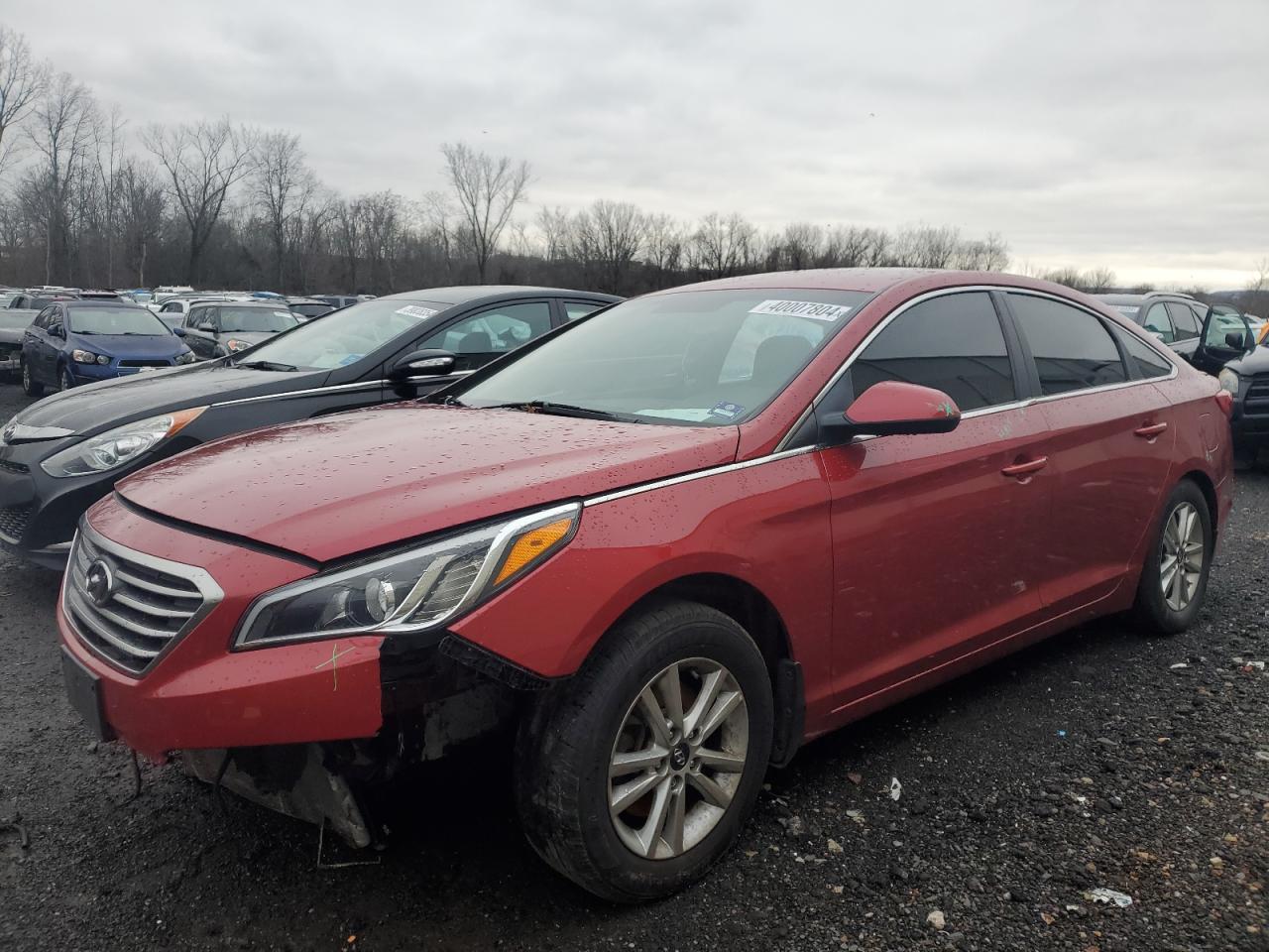 hyundai sonata 2017 5npe24af6hh568472