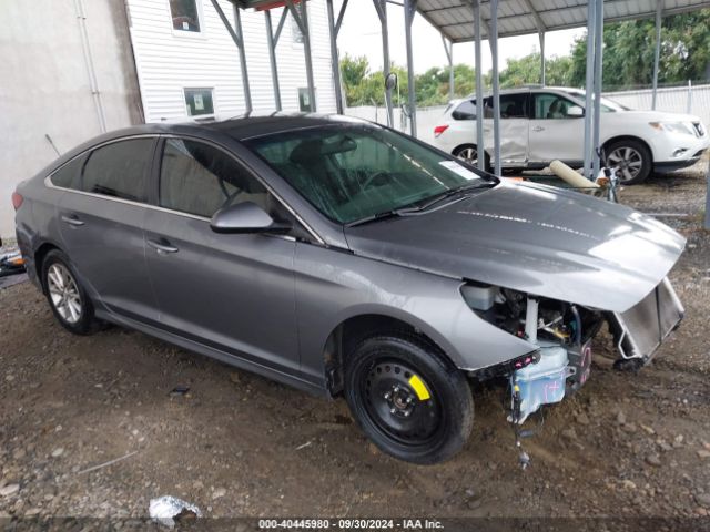 hyundai sonata 2019 5npe24af6kh756528