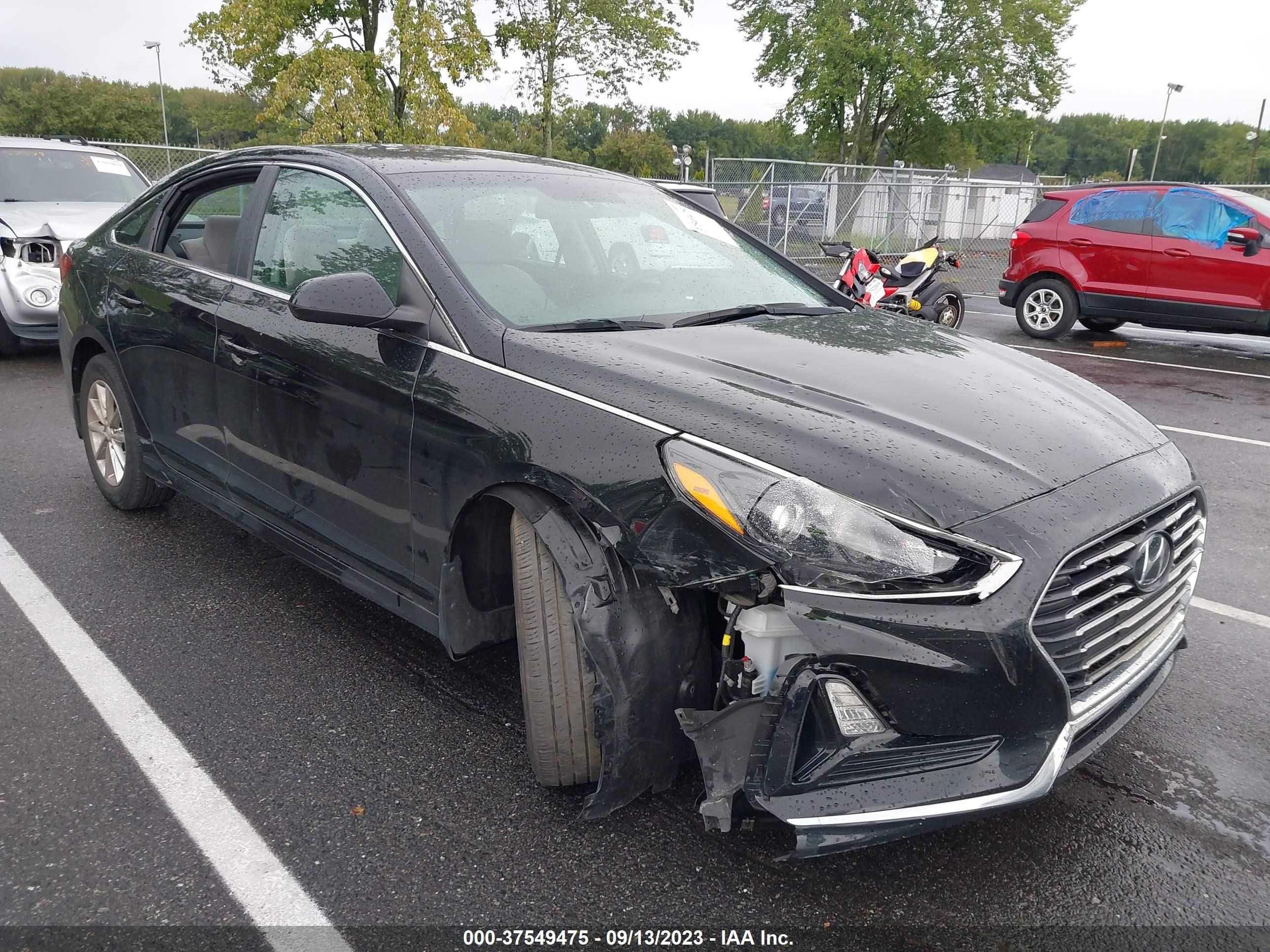 hyundai sonata 2019 5npe24af6kh799993