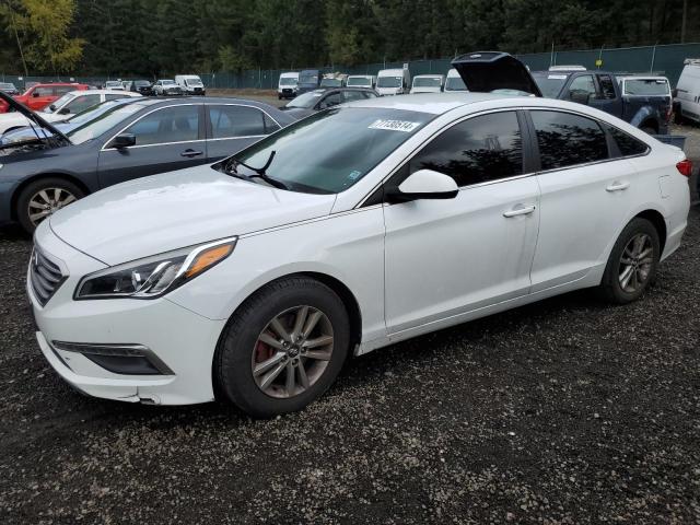 hyundai sonata se 2015 5npe24af7fh164531