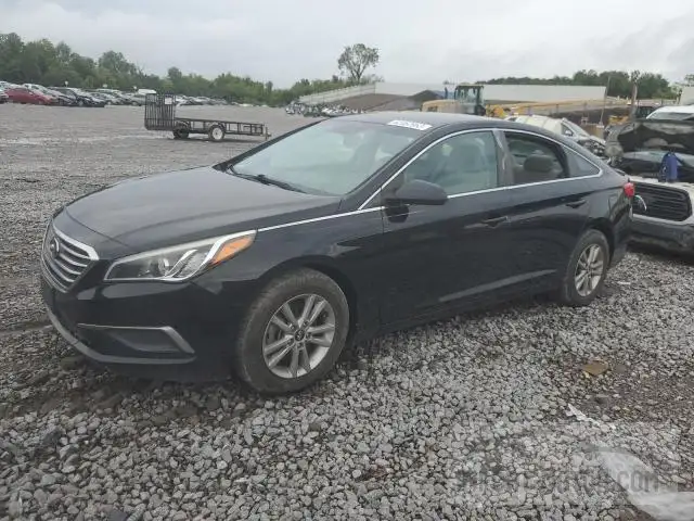 hyundai sonata 2016 5npe24af7gh324683