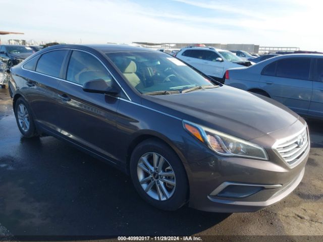 hyundai sonata 2016 5npe24af7gh410348