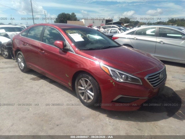 hyundai sonata 2016 5npe24af7gh417980