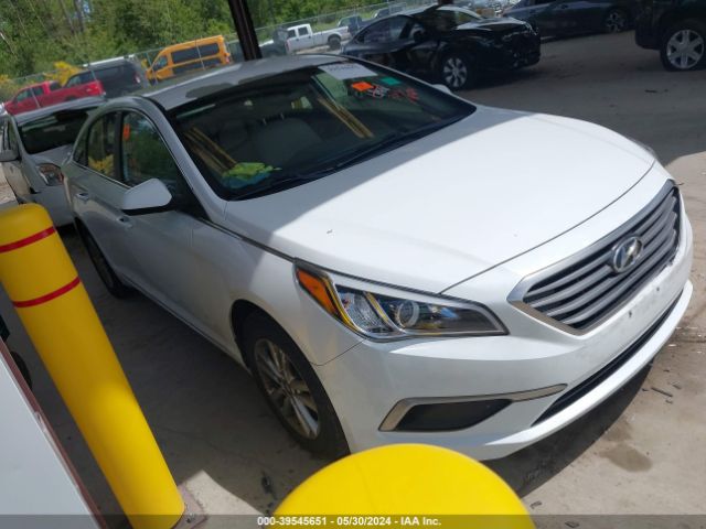 hyundai sonata 2017 5npe24af7hh498366