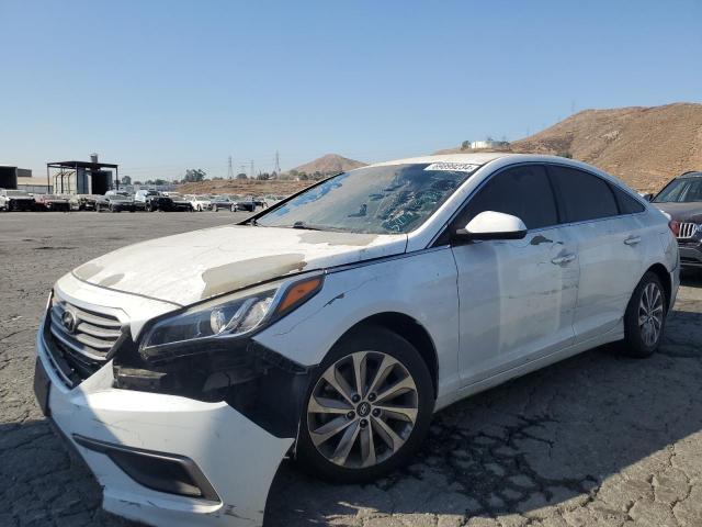 hyundai sonata se 2017 5npe24af7hh507423