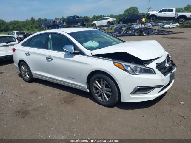 hyundai sonata 2017 5npe24af7hh522410