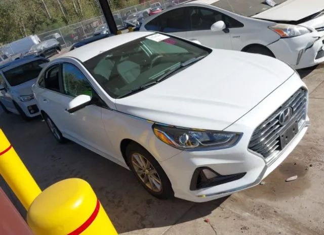 hyundai sonata 2018 5npe24af7jh653858