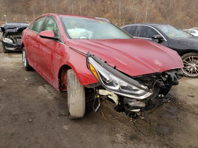 hyundai sonata se 2019 5npe24af7kh733274