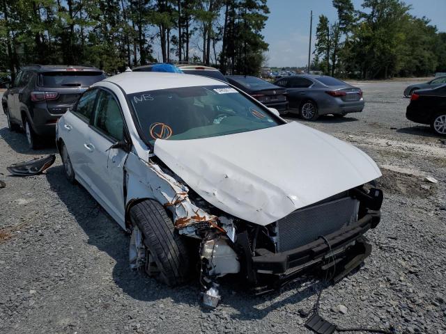 hyundai sonata se 2019 5npe24af7kh736403