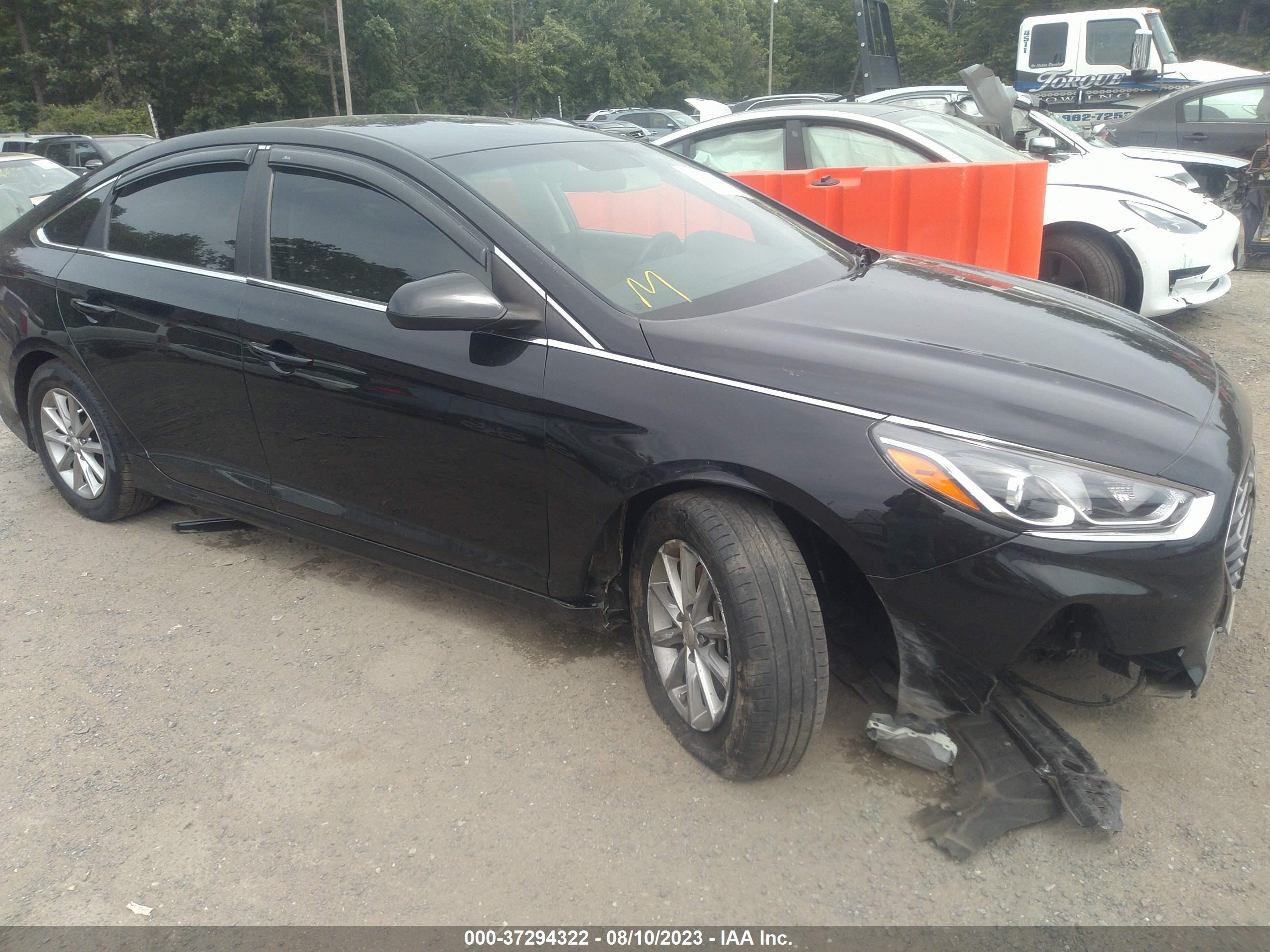 hyundai sonata 2019 5npe24af7kh736725