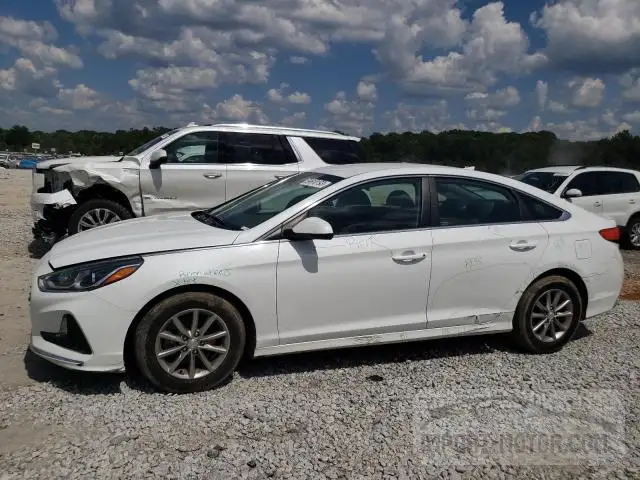 hyundai sonata 2019 5npe24af7kh744341