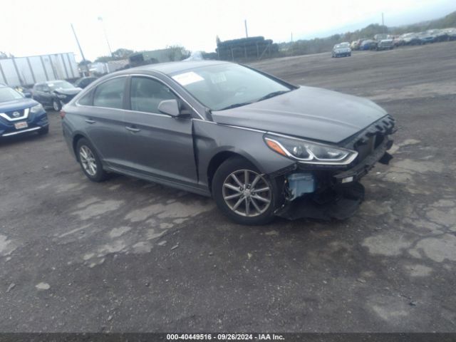 hyundai sonata 2019 5npe24af7kh754982