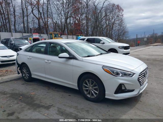 hyundai sonata 2019 5npe24af7kh771491