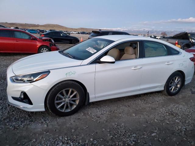 hyundai sonata se 2019 5npe24af7kh792857