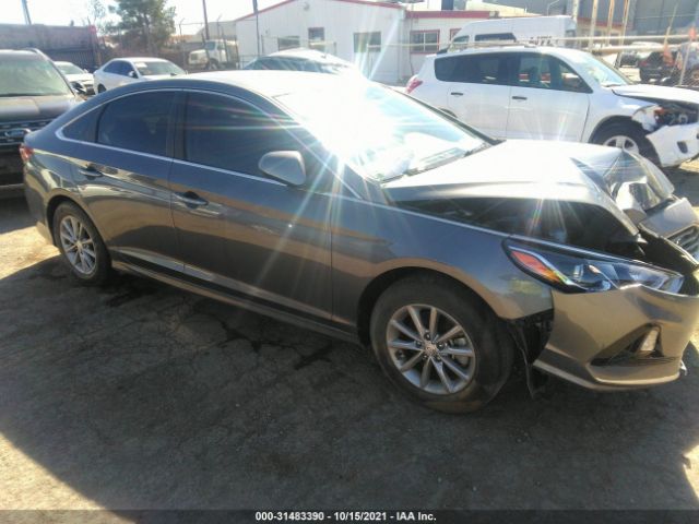 hyundai sonata 2019 5npe24af7kh800746